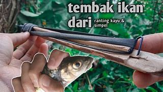 Desain Tembak Ikan Dari Kayu